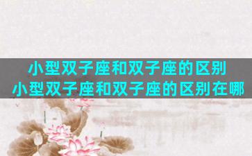 小型双子座和双子座的区别 小型双子座和双子座的区别在哪